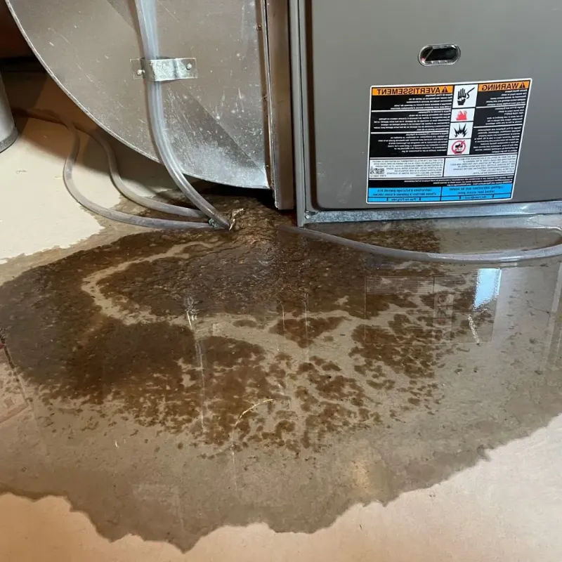 Pipe Burst and Leak Restoration in Owen County, IN