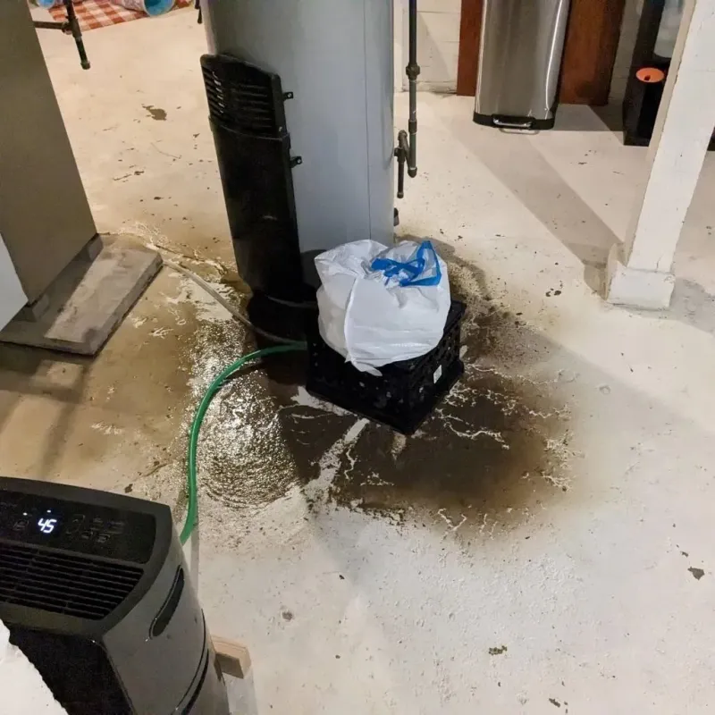 Sewage Backup Cleanup Service in Owen County, IN